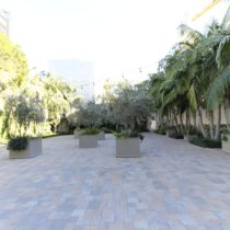 arched-ceiling-natural-light-ballroom-05