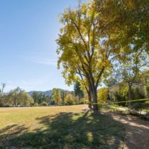 expansive-lake-front-country-club-004