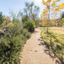 expansive-lake-front-country-club-008