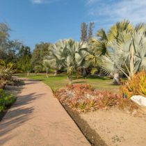 gardens-peacocks-pipedrive-67