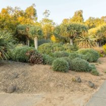 gardens-peacocks-pipedrive-78