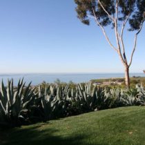 grand-piano-ocean-horizon-33