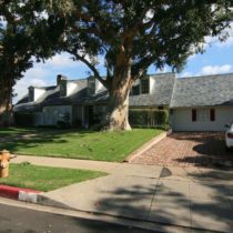 tree-framed-americana-1-04